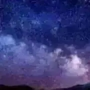 むぎの画像