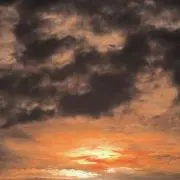 シロ値下げ中(プロフ必読)の画像
