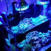 SEA LIFE（プロフ必読願います！）
