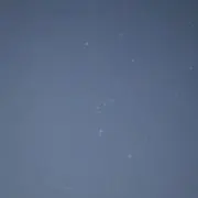 もなかの画像