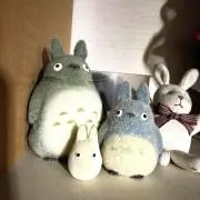 飛鳥の画像
