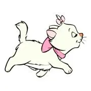accoの画像