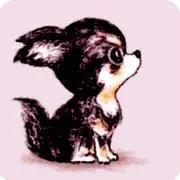 KEIto4の画像