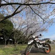 Image of ゆら