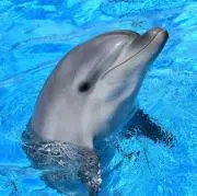 みなみの画像