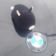 りーの画像