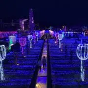 すずの画像
