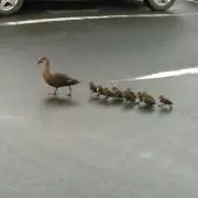 海ちゃんの画像