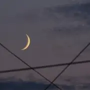 さえ
