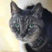 ぽぽのぱぱの画像
