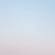 ぽんずの画像