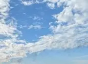 miyoの画像