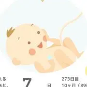 ぷるーんの画像