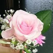 ganoganoの画像