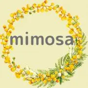 Image of ＊mimosa＊