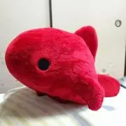 REN28の画像