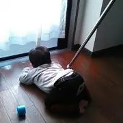 ハルりんご