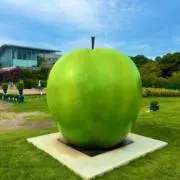 青りんごの画像