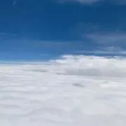 オルの画像