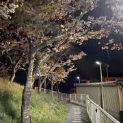 たー
