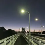 アノニムの画像