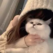 ひばりの画像