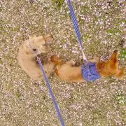 やみん