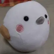 リスさんの画像