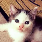 sachiの画像