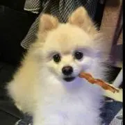 ✤Chikotan✤