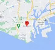 【発送のお休み11日～16日】サンペドロの画像