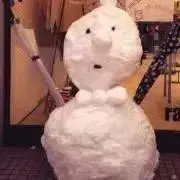 ハロマメ フォロー割の画像