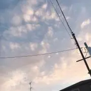 Mの画像