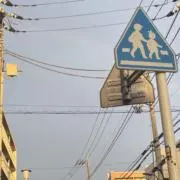 ひまじんの画像