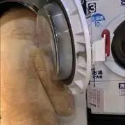 rukaの画像
