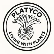 PLATYCO☆(・ω・)ノ