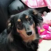 ちぃの画像