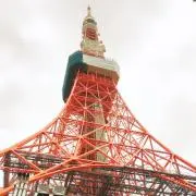 鷹☆