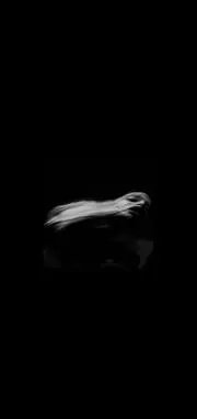 13の画像