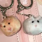 たるぎの画像
