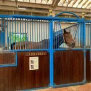 メシア
