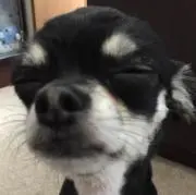 REONの画像