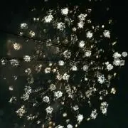 ちー