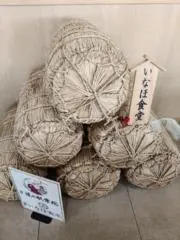COREの画像