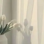 nun(  . .)"