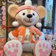 SHDL_HKDL ★即日発送★の画像