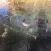 じゅあんの画像
