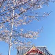 usagi.の画像