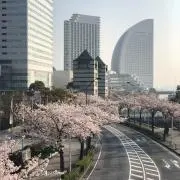つくしちゃんの画像