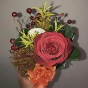 Rの画像